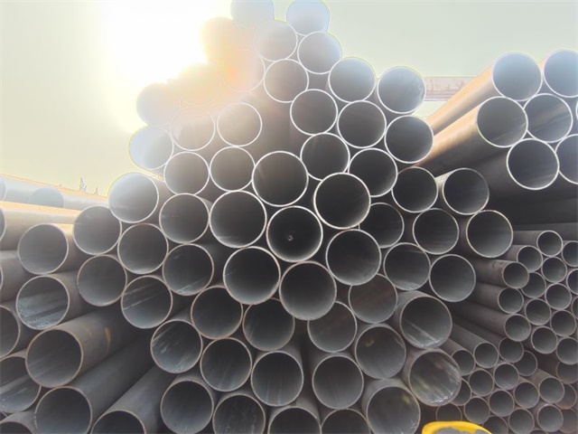 IMG_20230401_153054.jpg IMG_20230401_153054.jpg